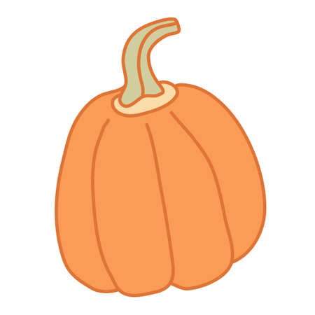 Orange pumpkin with a long petiole in cartoon flat style with lines. Hand drawn vector illustration Isolated on white background. Farming garden theme.のイラスト素材