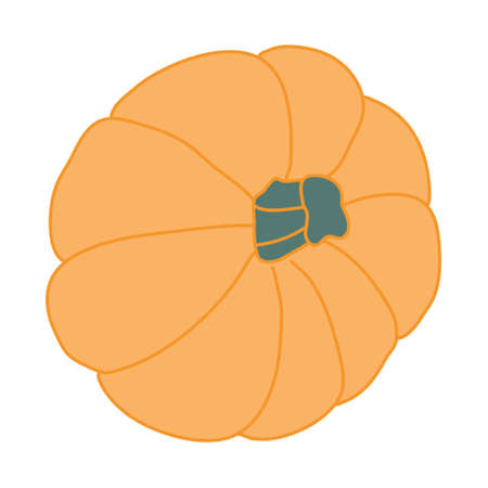 Orange pumpkin with a green petiole in cartoon flat style with lines. Hand drawn vector illustration Isolated on white background. Farming garden theme.のイラスト素材