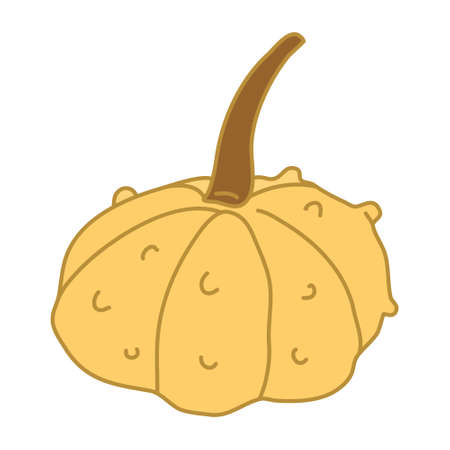 Warty or pimpled yellow gourd in cartoon flat style with lines. Hand drawn vector illustration Isolated on white background. Farming garden theme.のイラスト素材
