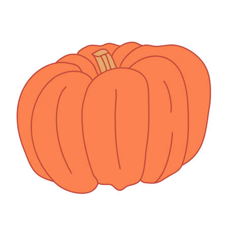 Red-orange pumpkin in cartoon flat style with lines. Hand drawn vector illustration Isolated on white background. Farming garden theme.のイラスト素材