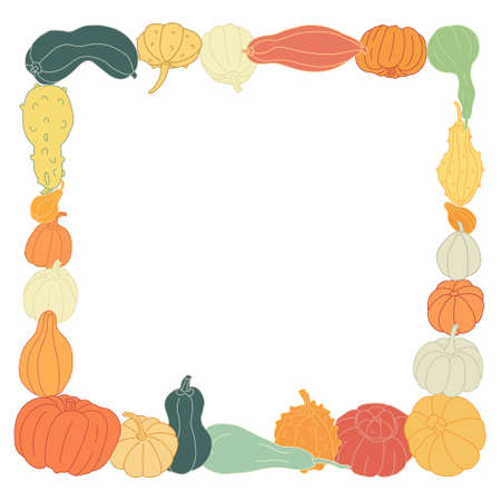 Vector square frame with colorful squashes and gourds isolated on white background. Autumn farming garden theme. Different varieties of pumpkins. Great template for cards, flyers, autumn events.のイラスト素材