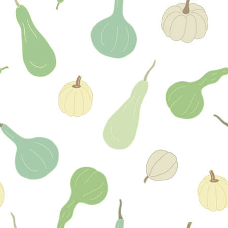 Vector seamless pattern with green and white squashes and gourds on white background. Great for fabrics, wrapping papers, wallpapers, covers. Autumn farming garden theme.のイラスト素材