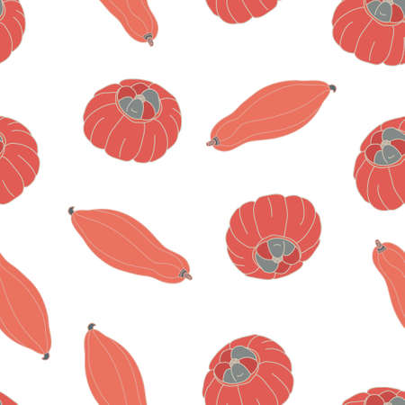 Vector seamless pattern with red turban squashes and elongated pumpkins on white background.のイラスト素材