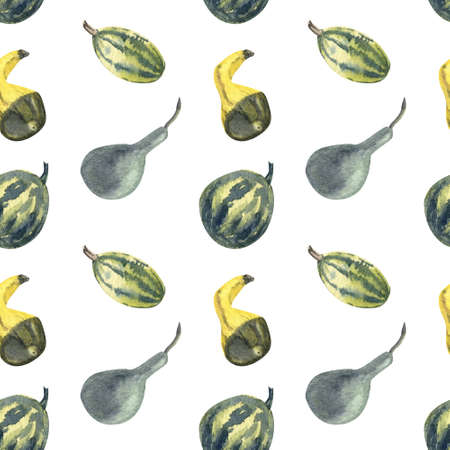 Watercolor pattern with green squashes and gourds on white background. Great for fabrics, wrapping...