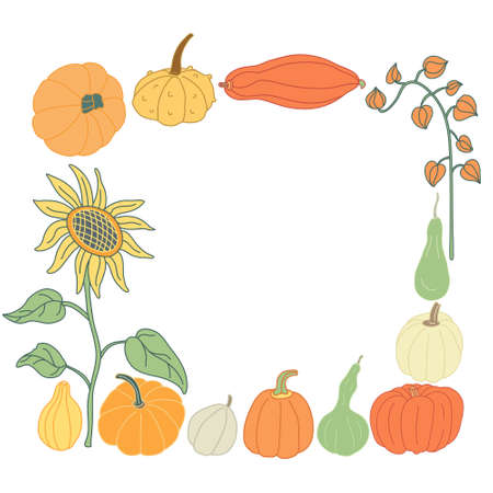 Autumn square frame with sunflower, pumpkins and physalis branch in flat style with lines. Hand drawn vector illustration isolated on white background. Crop or harvest theme. Warm honey colors.のイラスト素材