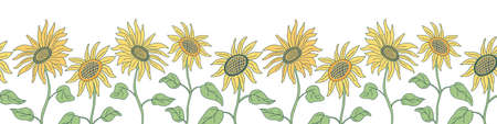 Vector seamless border with nice sunflowers on long stems. Hand drawn vector illustration in flat style with lines on white background. Green and yellow colors.のイラスト素材