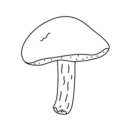 Mossiness mushroom in doodle style. Isolated outline. Hand drawn vector illustration in black ink on white background.のイラスト素材