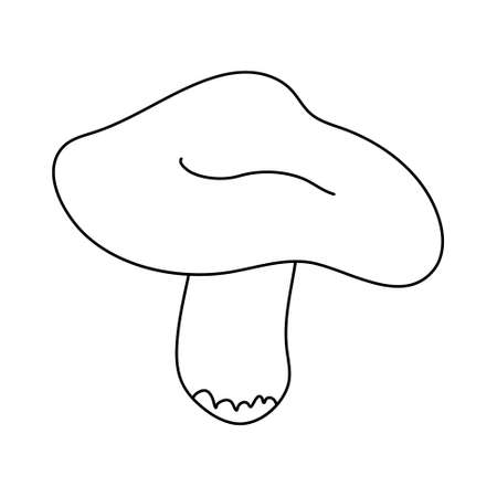 Forest edible mushroom in doodle style. Isolated outline. Hand drawn vector illustration in black ink on white background.のイラスト素材