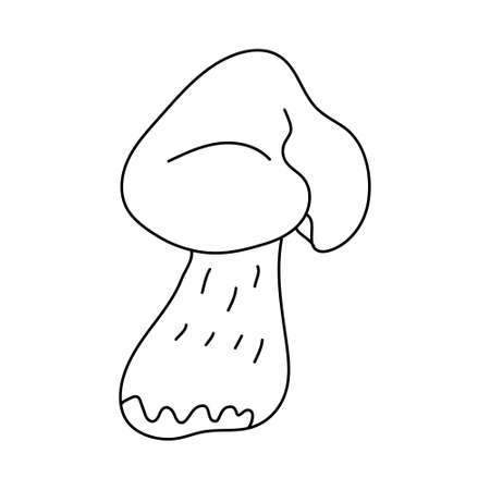 Forest edible mushroom in doodle style. Isolated outline. Hand drawn vector illustration in black ink on white background.のイラスト素材