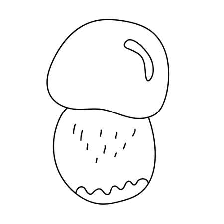 Little porcini mushroom in doodle style. Isolated outline. Hand drawn vector illustration in black ink on white background.のイラスト素材