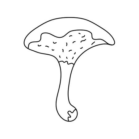 Suillus bovinus mushroom in doodle style. Isolated outline. Hand drawn vector illustration in black ink on white background.のイラスト素材