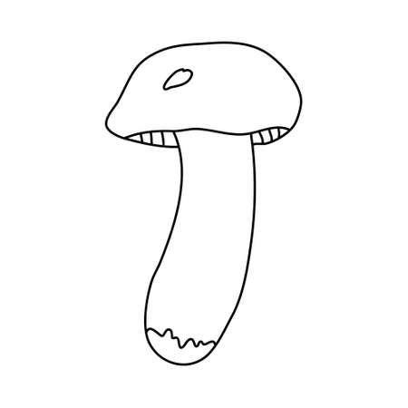 Forest edible mushroom in doodle style. Isolated outline. Hand drawn vector illustration in black ink on white background.のイラスト素材