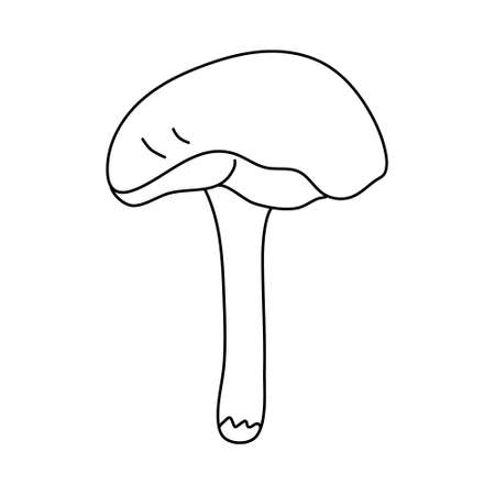 Yellow boletus mushroom in doodle style. Isolated outline. Hand drawn vector illustration in black ink on white background.のイラスト素材