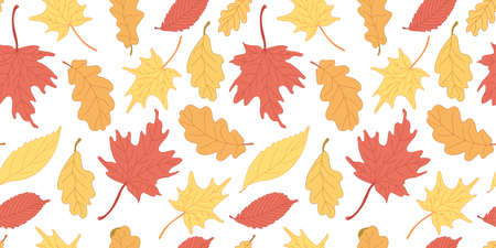 Autumn vector seamless pattern with colorful leaves on white background. Great for fabrics, wrapping papers, wallpapers, covers. Flat style with lines. Red, yellow, orange colors.のイラスト素材