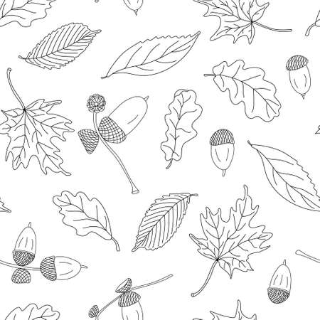 Autumn vector seamless pattern with different leaves and acorns on white background. Great for fabrics, wrapping papers, wallpapers, covers. Doodle sketch style illustration in black ink.のイラスト素材
