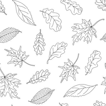 Autumn vector seamless pattern with leaves on white background. Great for fabrics, wrapping papers, wallpapers, covers. Doodle sketch style illustration in black ink.のイラスト素材