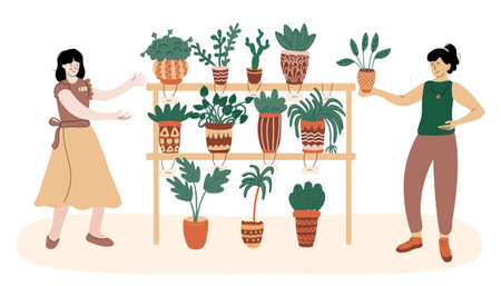 Woman choosing a new houseplants in the market. Nice shop assistant helps and show her the range. Vector illustration isolated on white. Flat style with lines. Natural earthy colors.のイラスト素材
