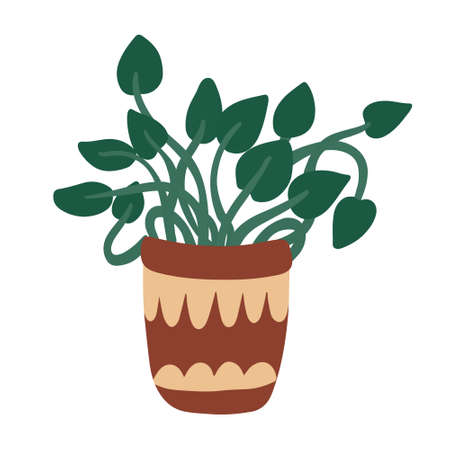 Scindapsus plant with heart shaped leaves in a flower pot decorated with ornaments. Vector hand drawn illustration of liana houseplant isolated on white background. Flat style.のイラスト素材