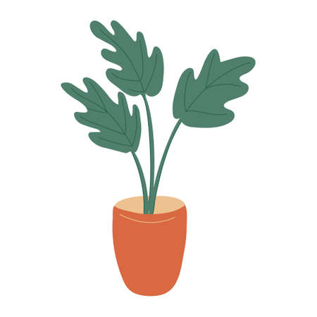 Monstera houseplant in an orange flower pot. Flat style. Vector hand drawn illustration isolated on white background.のイラスト素材