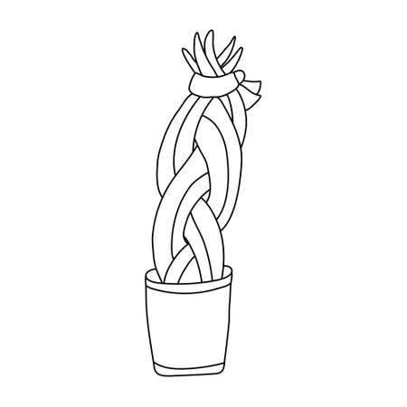 Twisted sansevieria houseplant in a pot. Doodle style. Hand drawn vector illustration of a potted plant in black ink on white background. Isolated outline.のイラスト素材