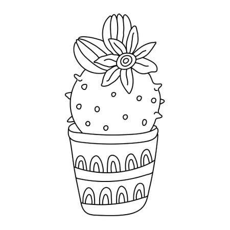 Blooming cactus with a beautiful flower in doodle style. Houseplant in a pot decorated with pattern. Hand drawn vector illustration of succulent in black ink on white background. Isolated outline.のイラスト素材