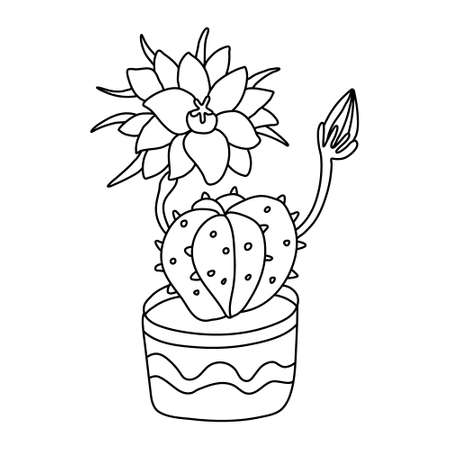 Blooming cactus with a beautiful big flower in doodle style. Houseplant in a pot decorated with ornaments. Hand drawn vector illustration of succulent in black ink on white. Isolated outline.のイラスト素材