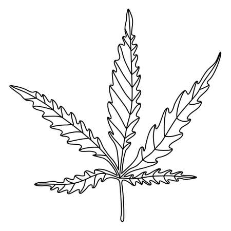 Doodle sketch hand drawn vector illustration of a cannabis leaf on white background. Isolated outline. Alternative medicine.のイラスト素材
