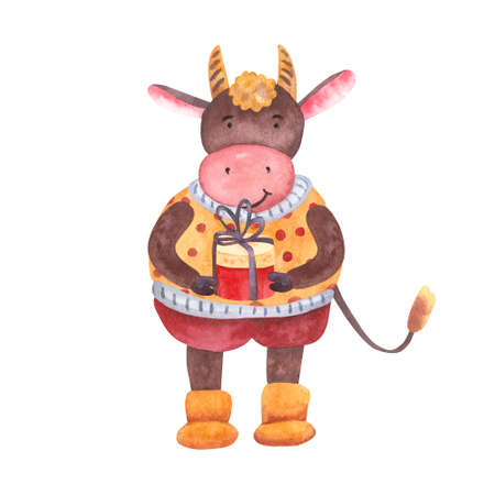 Watercolor cute cheerful bull with a gift box. Year of ox. Hand painted illustration isolated on white background. Great for kids design, greeting cards, children products decoration. New year's eveの写真素材
