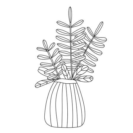 Spruce branches in a striped vase. Christmas tree twigs bouquet in doodle sketch style. Vector hand drawn illustration on white background. Isolated black outline.のイラスト素材