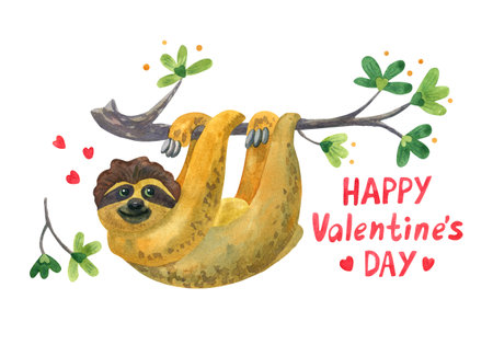 Happy Valentine's Day. Watercolor greeting card with a cute sloth hanging on the branch. Hand painted illustration on white background.の写真素材