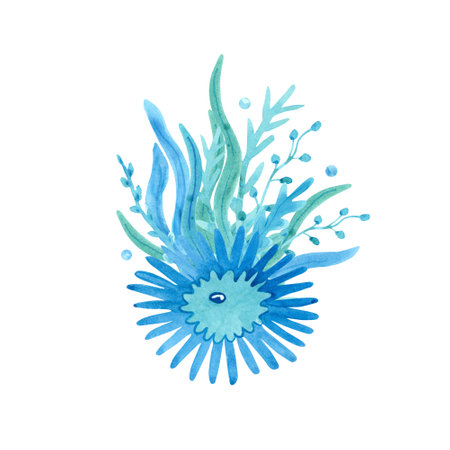 Watercolor composition with a sea urchin and seaweed on white background. Blue and turquoise colors. Sea animal hand painted illustration. Great for posters, mug decoration, scrapbooking and so on.の写真素材