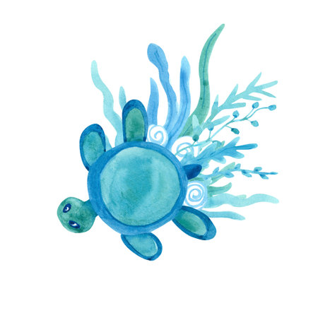 Watercolor composition with a turtle and seaweed on white background. Blue and turquoise colors. Sea animal hand painted illustration. Great for posters, mug decoration, scrapbooking and so on.の写真素材