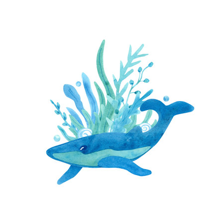 Watercolor composition with a whale and seaweed on white background. Blue and turquoise colors. Sea animal hand painted illustration. Great for posters, mug decoration, scrapbooking and so on.の写真素材