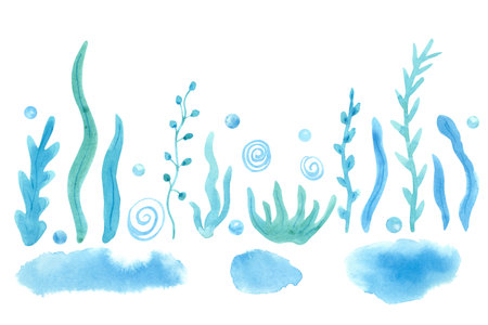 Set with watercolor spots, Illustration of seaweed, shells, bubbles or pearl. Great for design of patterns, posters, wall decoration. Blue and turquoise colors. Isolated elements on white background.の写真素材