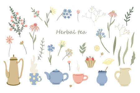 Herbals, teapots and mugs of tea set. Lemon, fruit dessert and wildflowers. Summer floral collection. Hand drawn vector illustration isolated on white. Muted tender colors. Great for packing design.のイラスト素材
