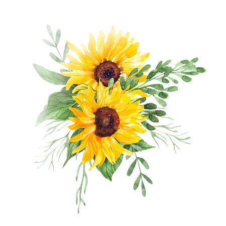 Watercolor sunflowers bouquet. Summer flowers and leaves. Hand painted illustration isolated on white. Great for weddings, greeting card, t-shirts, bag decorating. Nice art print for home decoration.の写真素材