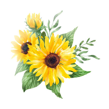 Watercolor sunflowers bouquet. Summer flowers and leaves. Hand painted illustration isolated on white. Great for weddings, greeting card, t-shirts, bag decorating. Nice art print for home decoration.の写真素材