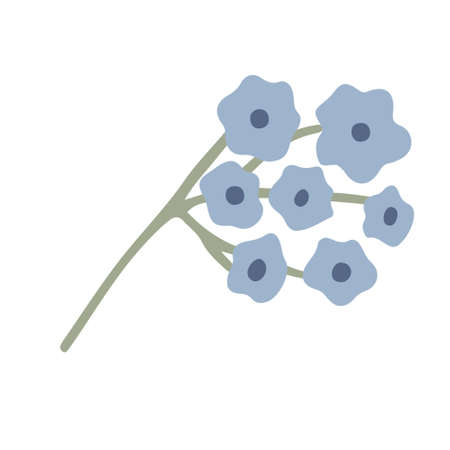 Blue flower hand drawn vector illustration isolated on white. Wildflower or meadow plant.のイラスト素材