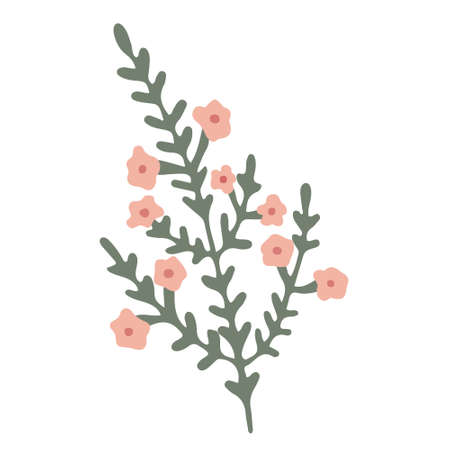 Green blooming branch with small pink flowers. Hand drawn vector illustration isolated on white. Wildflower or meadow plant.のイラスト素材