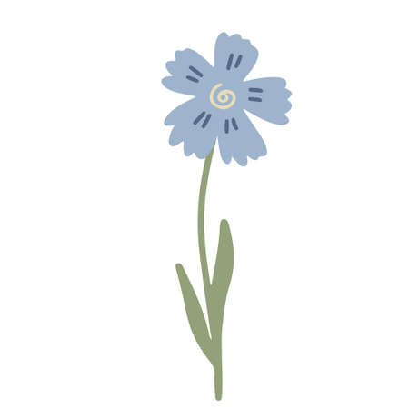 Blue cornflower hand drawn vector illustration isolated on white. Wildflower or meadow plant.のイラスト素材