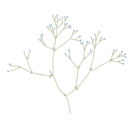 Thin blooming branch. Hand drawn vector illustration isolated on white. Wildflower or meadow plant.のイラスト素材