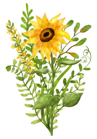 Sunflowers bouquet. Summer flowers, herbs, leaves. Digatal illustration isolated on white. Great for greeting card, t-shirts, bag decorating. Nice art print for home decorの写真素材