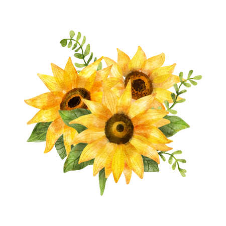 Watercolor sunflowers bouquet. Summer flowers and leaves. Digital illustration isolated on white. Great for weddings, greeting card, t-shirts, bag decorating. Nice art print for home decorationの写真素材