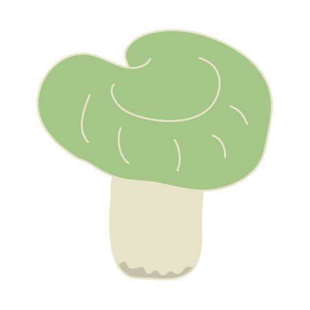 Green-cup russula mushroom. Hand drawn doodle vector illustration with color outline isolated on white background.のイラスト素材