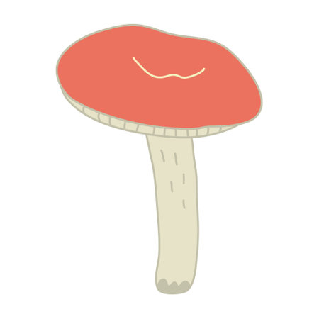 Red-cup russula mushroom. Hand drawn doodle vector illustration with color outline isolated on white background.のイラスト素材