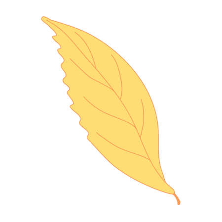 Yellow autumn leaf. Hand drawn vector illustration with color outline isolated on white background.のイラスト素材