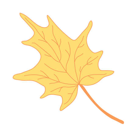 Yellow maple leaf. Hand drawn vector illustration with color outline isolated on white background.のイラスト素材