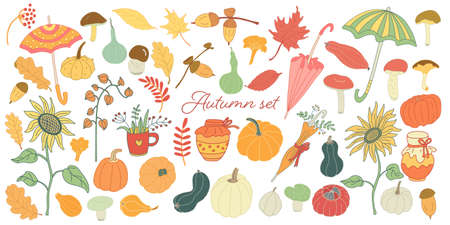 Color doodle autumn set with pumpkins, mushrooms, umbrellas, leaves, sunflowers, jar of jam, honey, physalis and acorns. Vector hand drawn illustration isolated on white. Fall and harvest.のイラスト素材