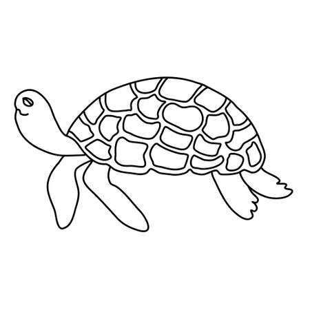 Turtle. Hand drawn vector illustration in doodle style on white background. Isolated black outline. Sea and ocean animals theme. Great for kids coloring books.のイラスト素材