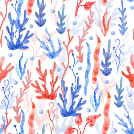 Watercolor seamless pattern with seaweeds and pearls on white background. Underwater plant hand painted illustration. Red and blue colors.の写真素材